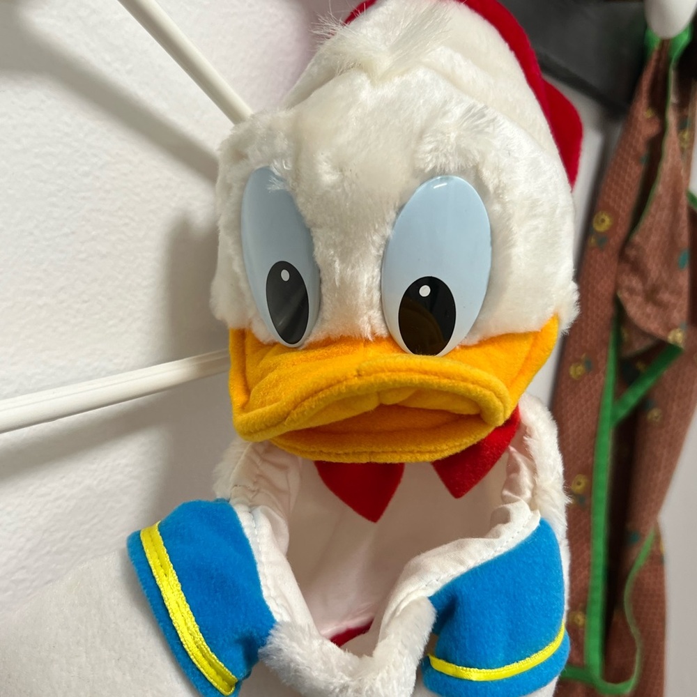 Donald Duck Stocking